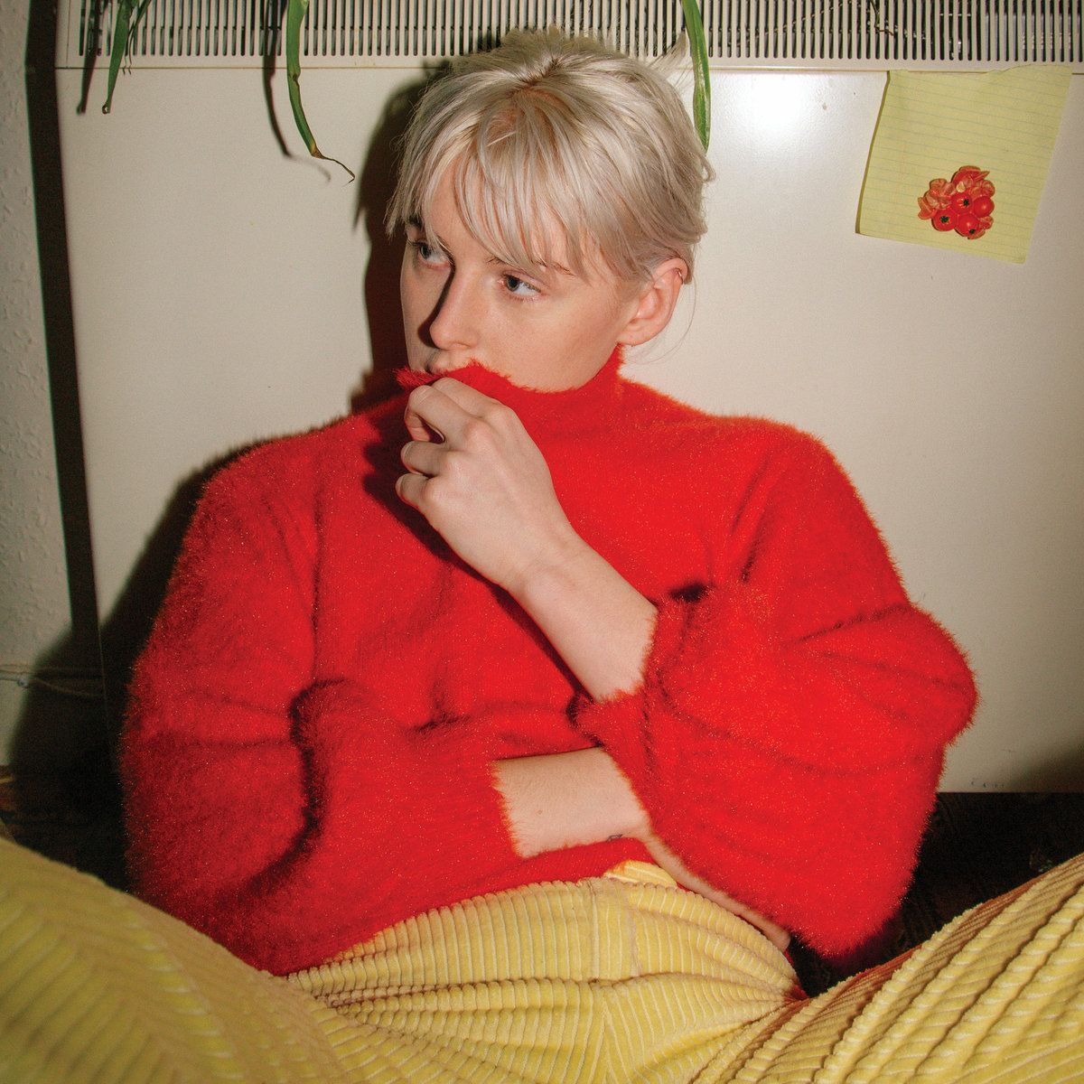 ‘Suffocating details of introspection’: Fenne Lily, Breach Review