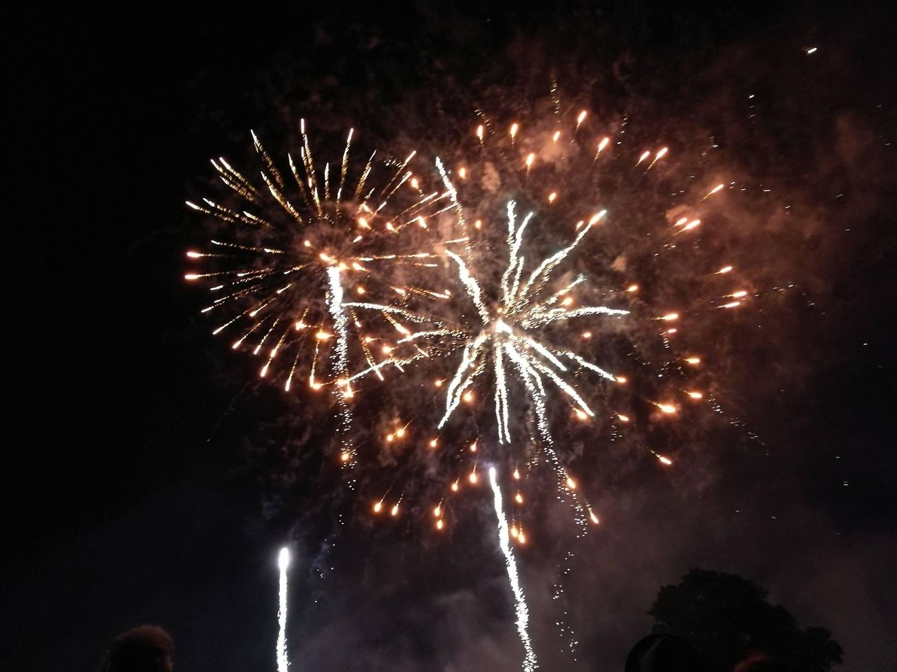 Opinion | Fireworks are the loudest silent killers of animals