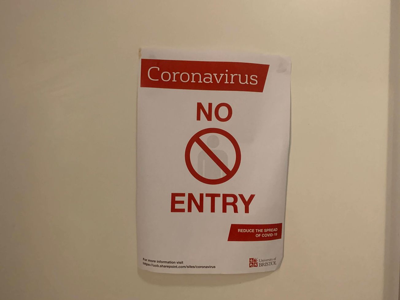 Opinion | From student to student, stick to the lockdown rules