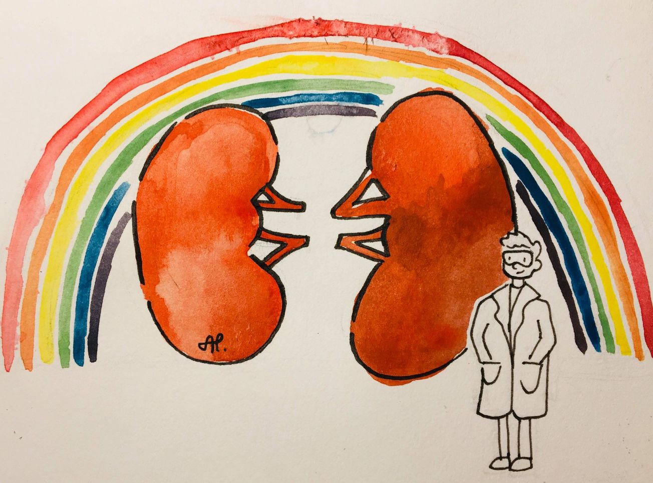 Genetically modified viruses could be the key to treating chronic kidney diseases