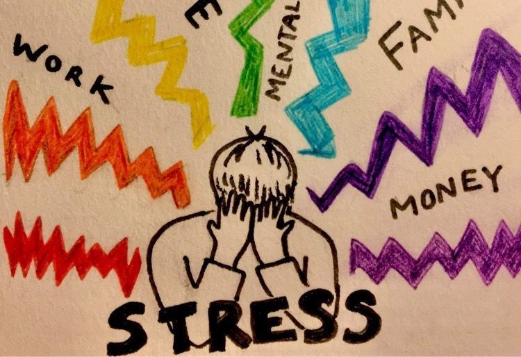 Researchers develop an evolutionary theory for the universal stress response