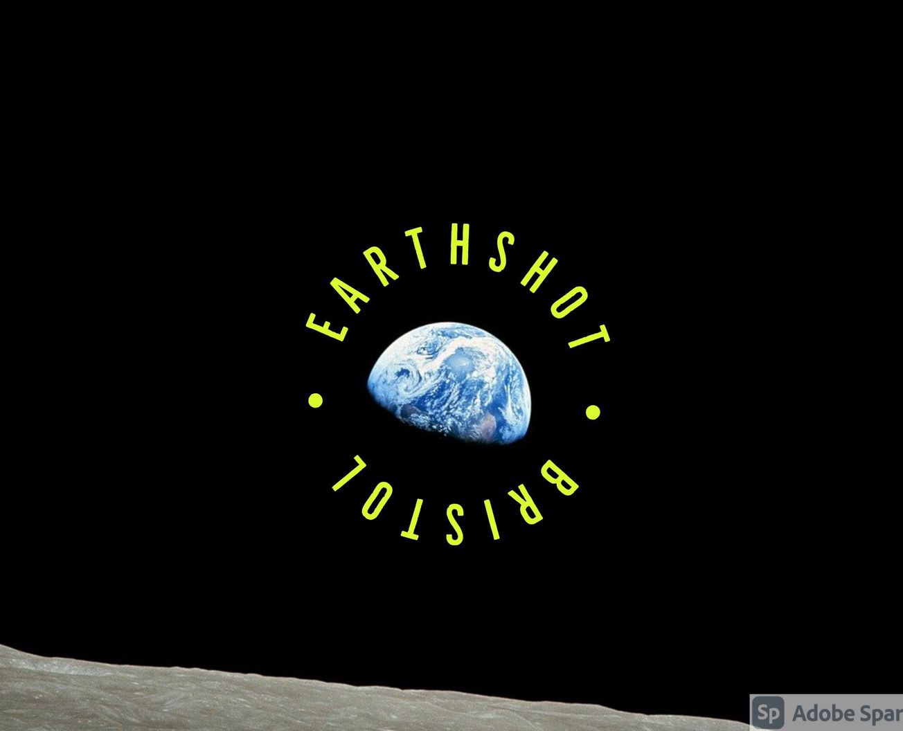 The Bristol students restoring our environment: In conversation with Bristol’s own Earthshot Team