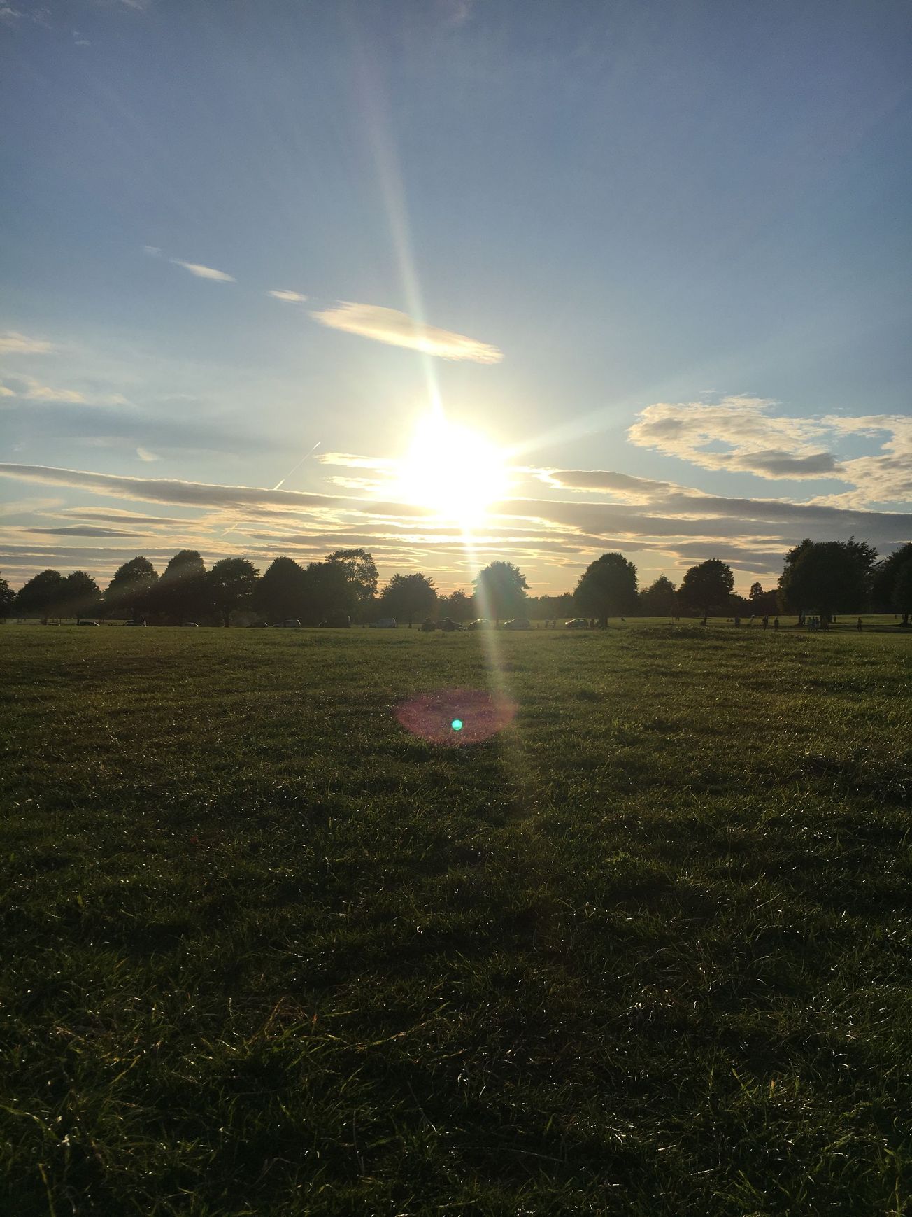 New year, new me? The Croft editors share their resolutions