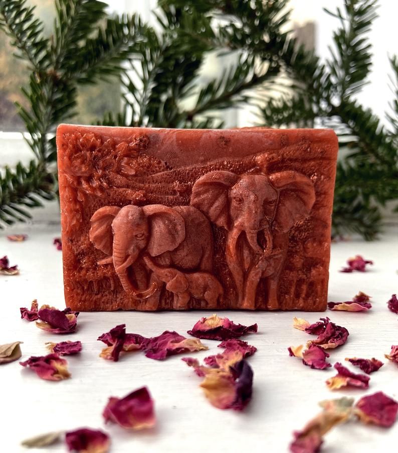 Hope for Excel: the Bristol based charity tackling the effects of COVID-19 on communities further afield