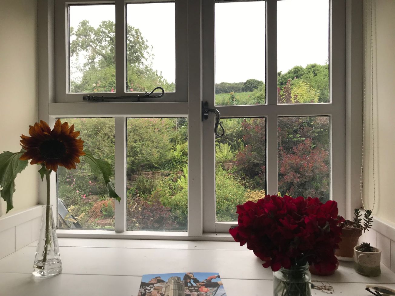 An introvert's life in lockdown