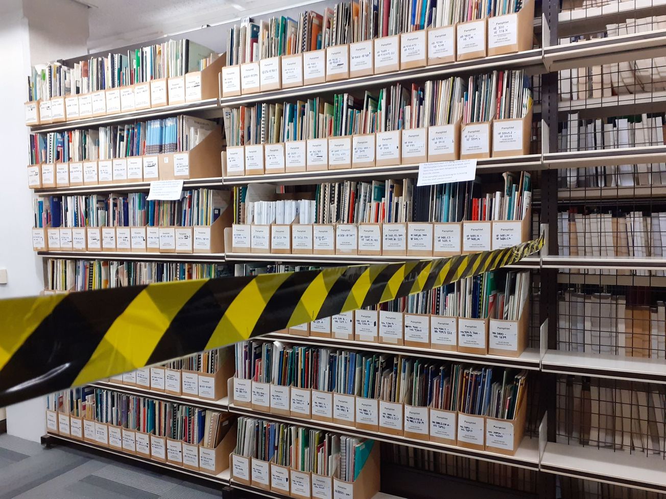 Opinion | Young people should pay more attention to the information they are fed