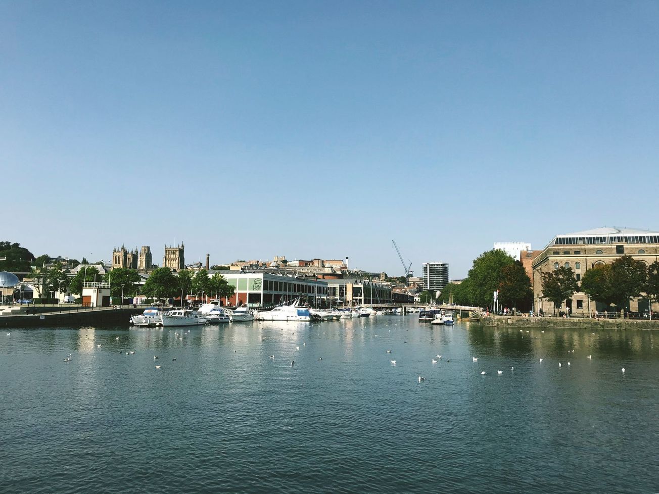 Opinion | Toxic positivity needs to stop during lockdown