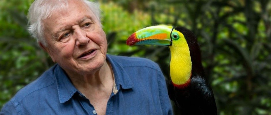 ‘Attenborough’s Life in Colour’ to feature research by Bristol University academics