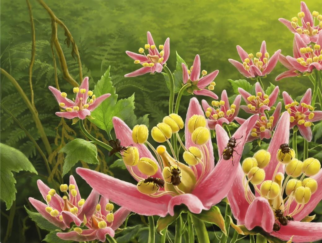 Digging for gold: success of plants unearthed by ancient faeces