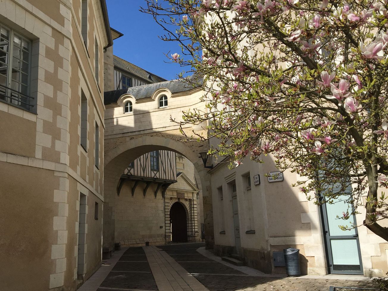 Letters from Paris: 'Death of Diana'