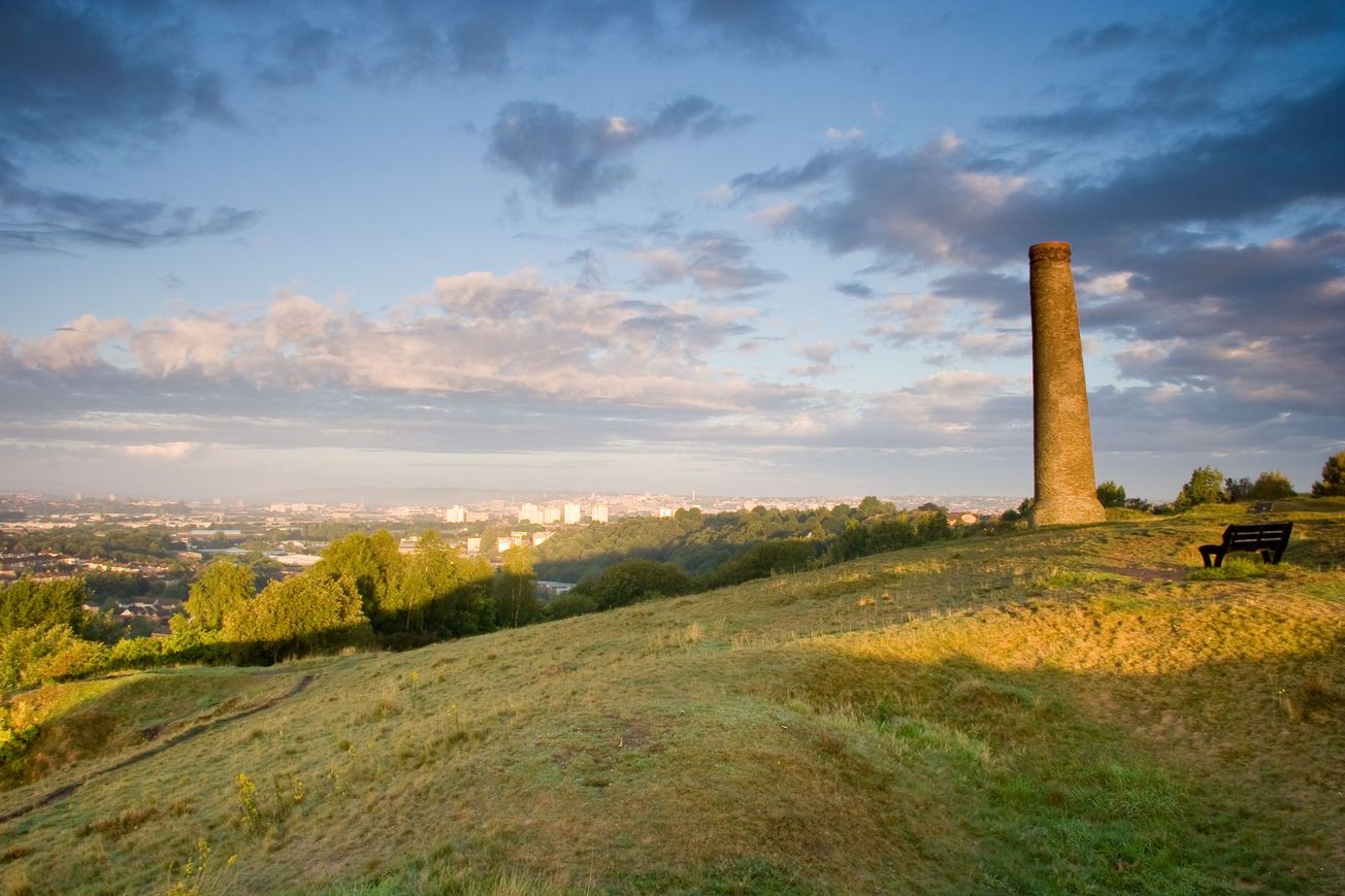 Out of the ashes: the story of a small Bristol nature reserve