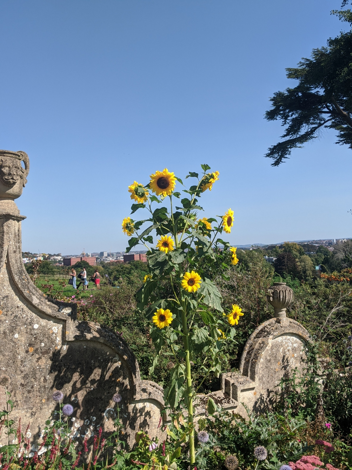 The return of exams: tips to keep calm this assessment season