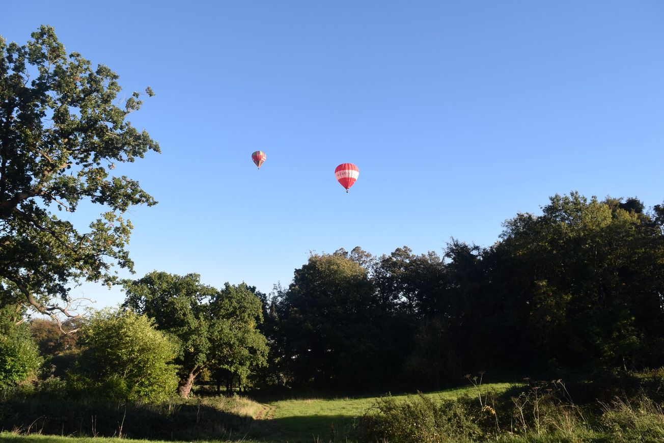Behind Bristol's Balloon Fiesta Fortnight