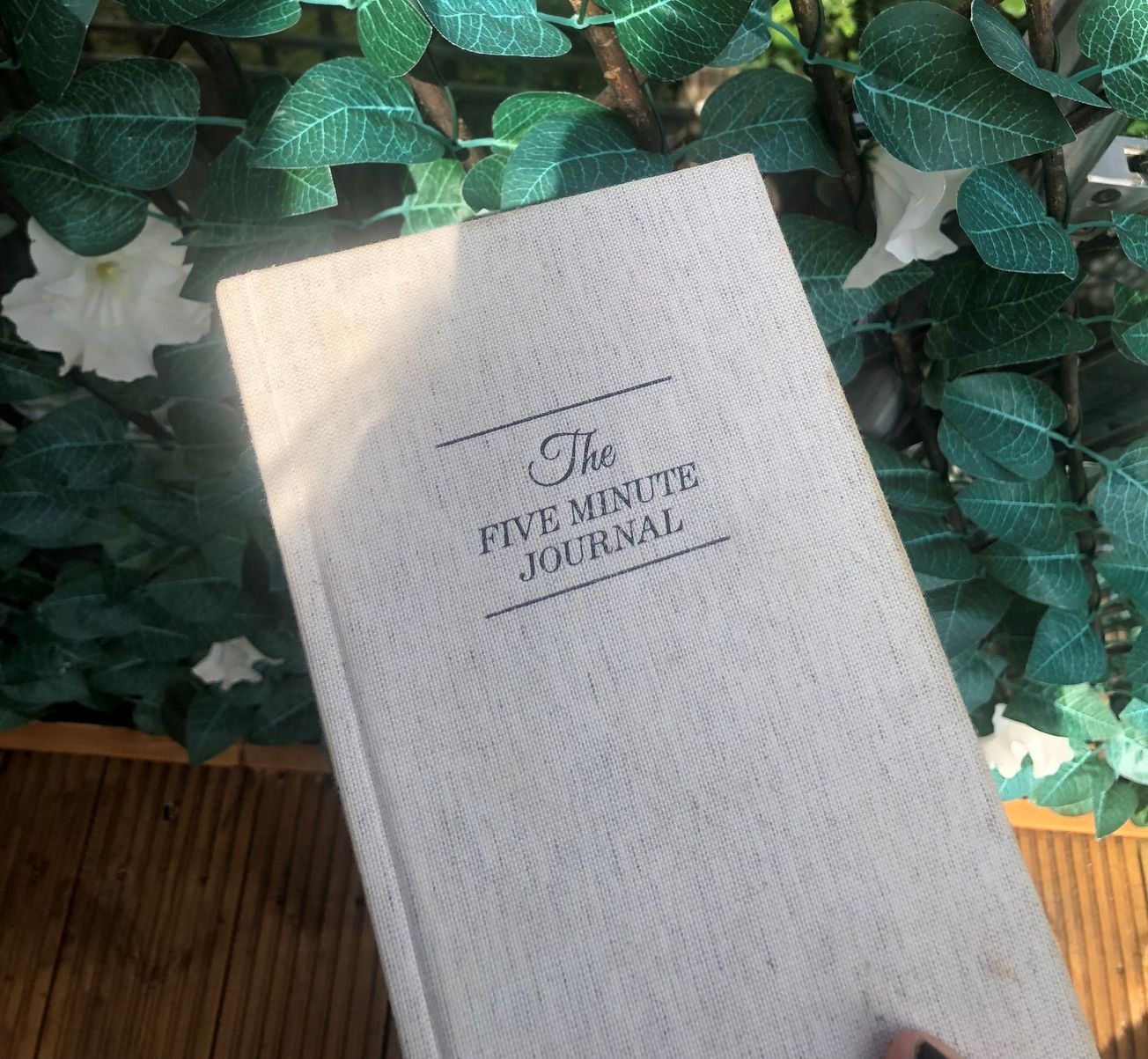 Deep dive into the rise of Gratitude Journals: Do they work?