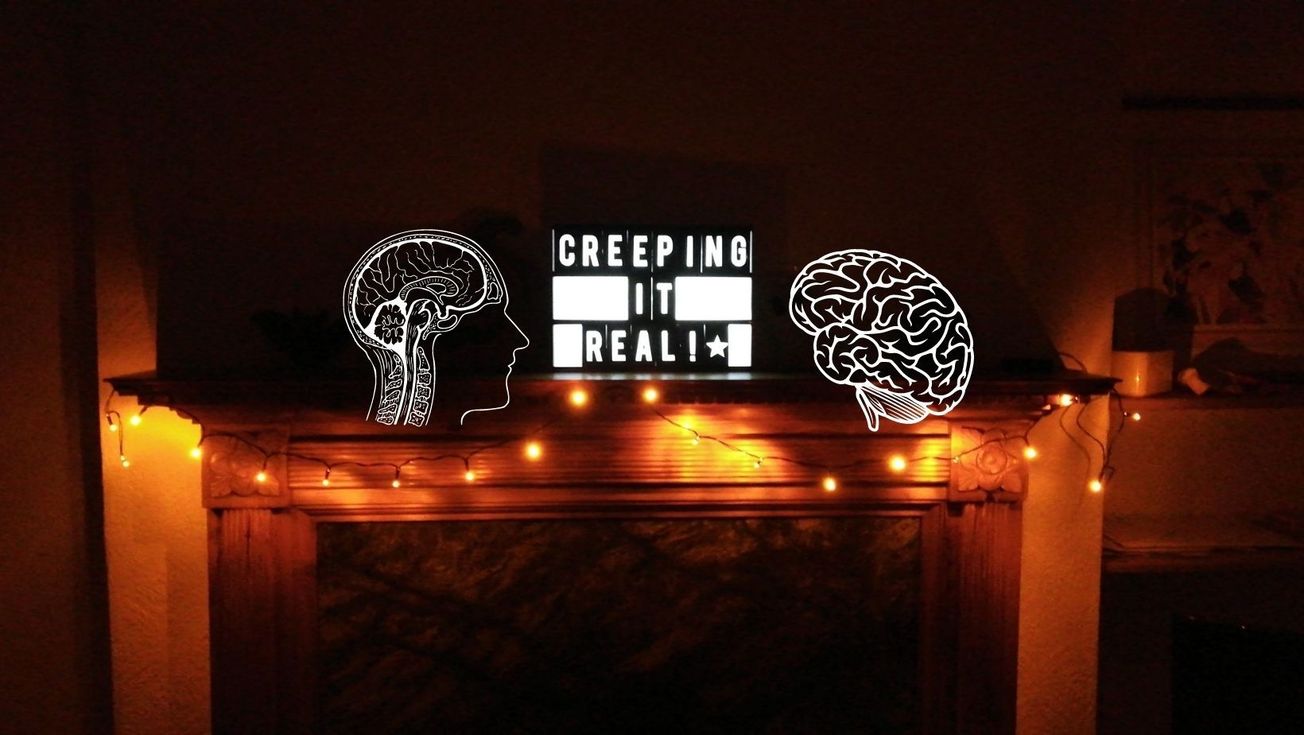 Fight or fright: the science of fear