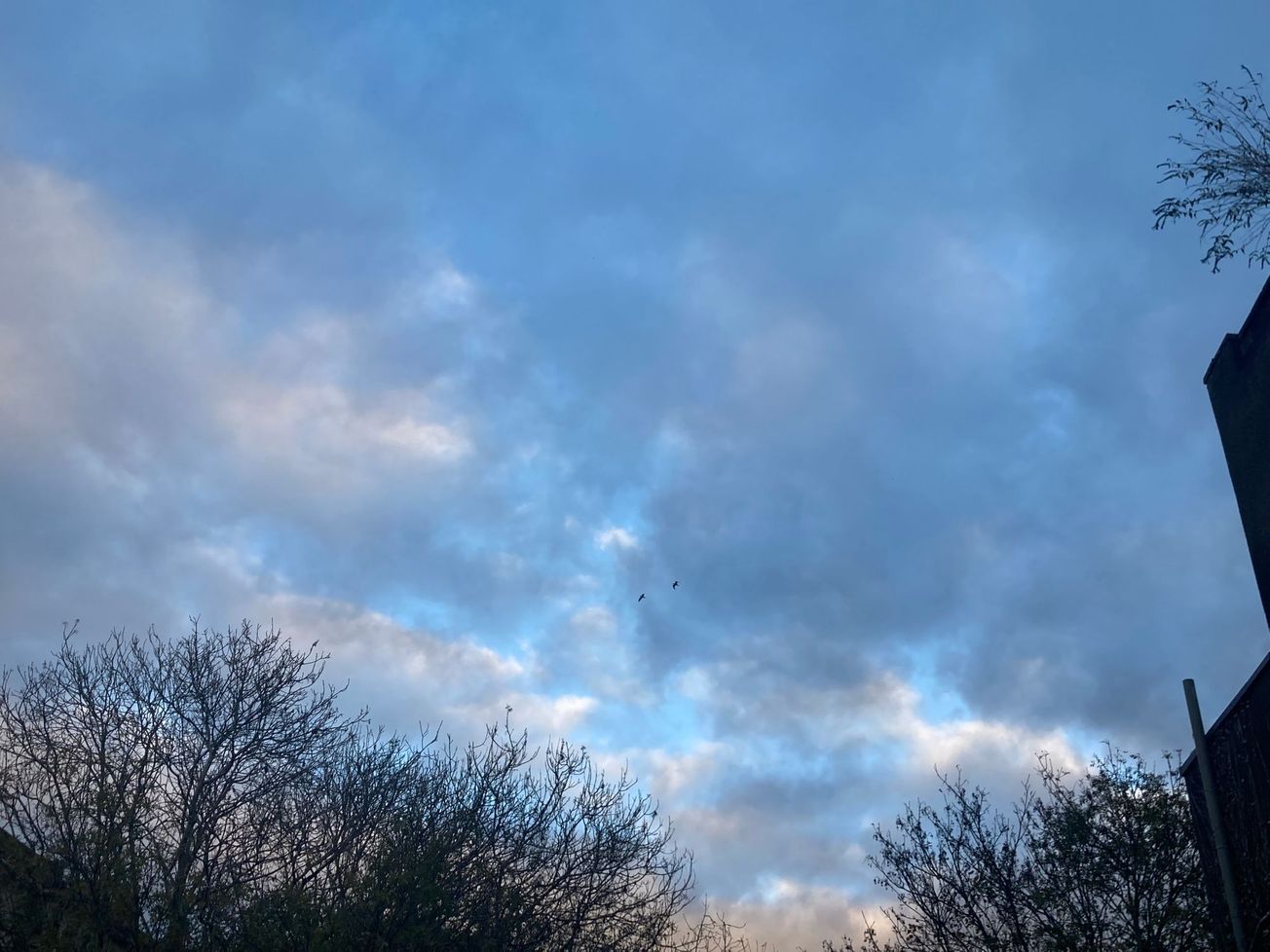 World Kindness day: What kindness means to me