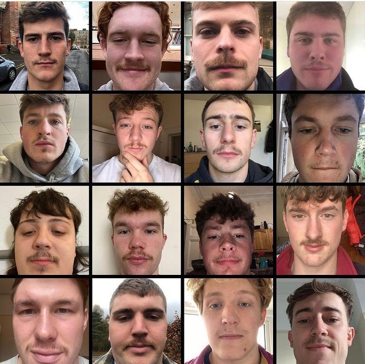 Movember: Grow a Mo, save a Bro