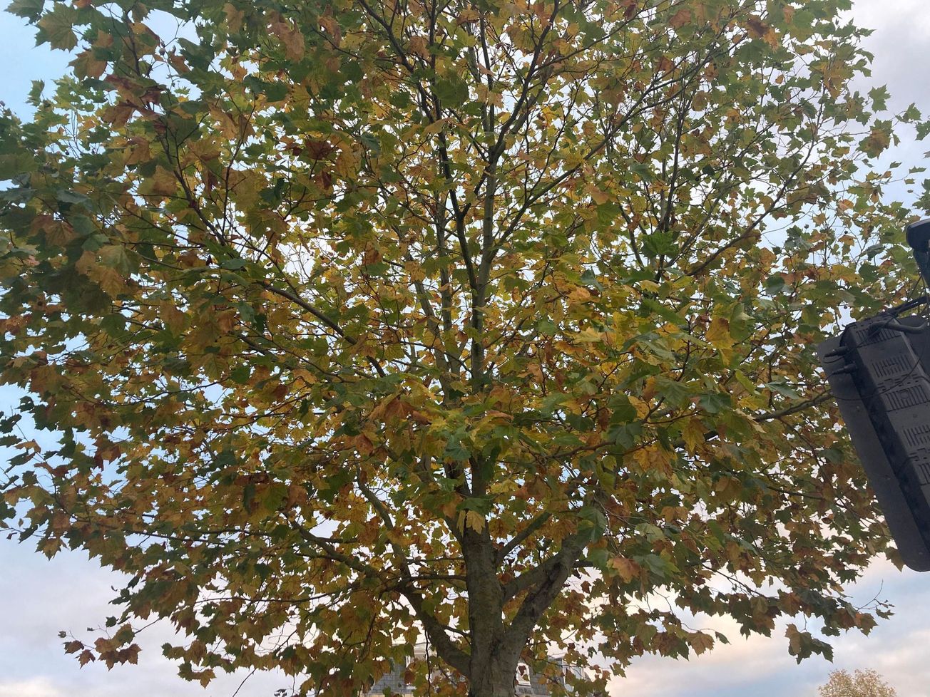 Stress Awareness Week: A few tips and tricks on how to deal with stress