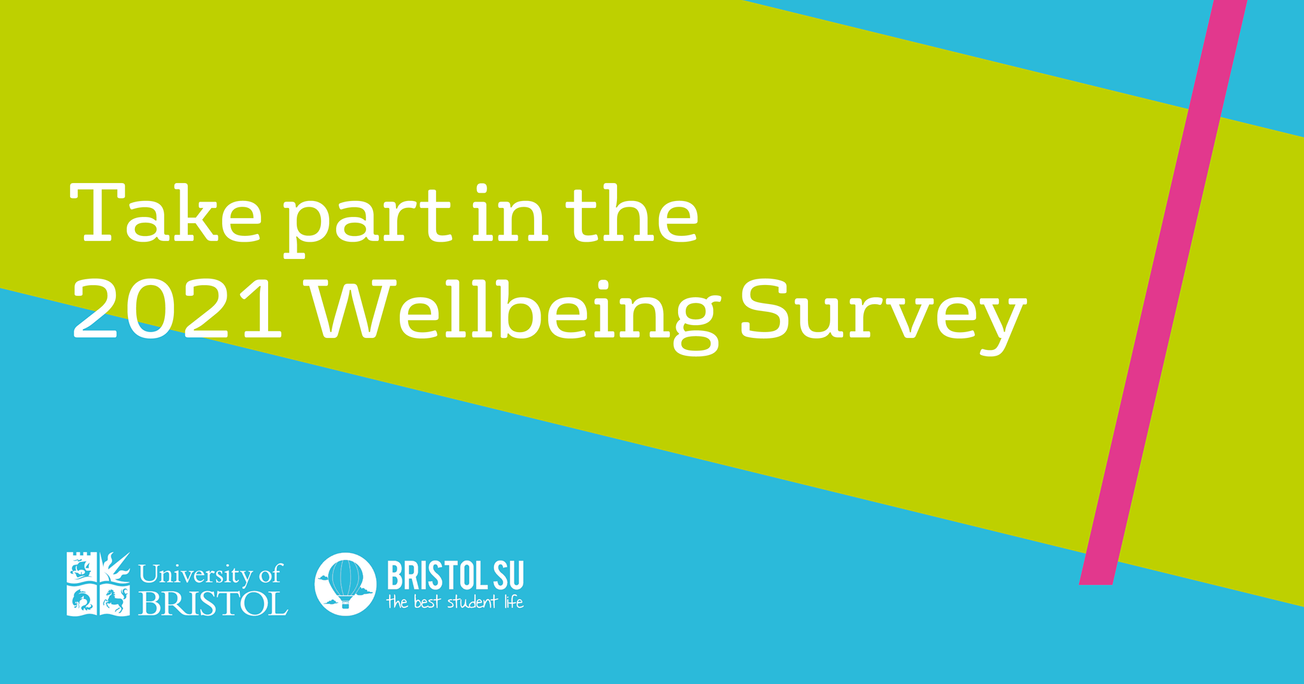 A look into the 2021 Student Wellbeing Survey