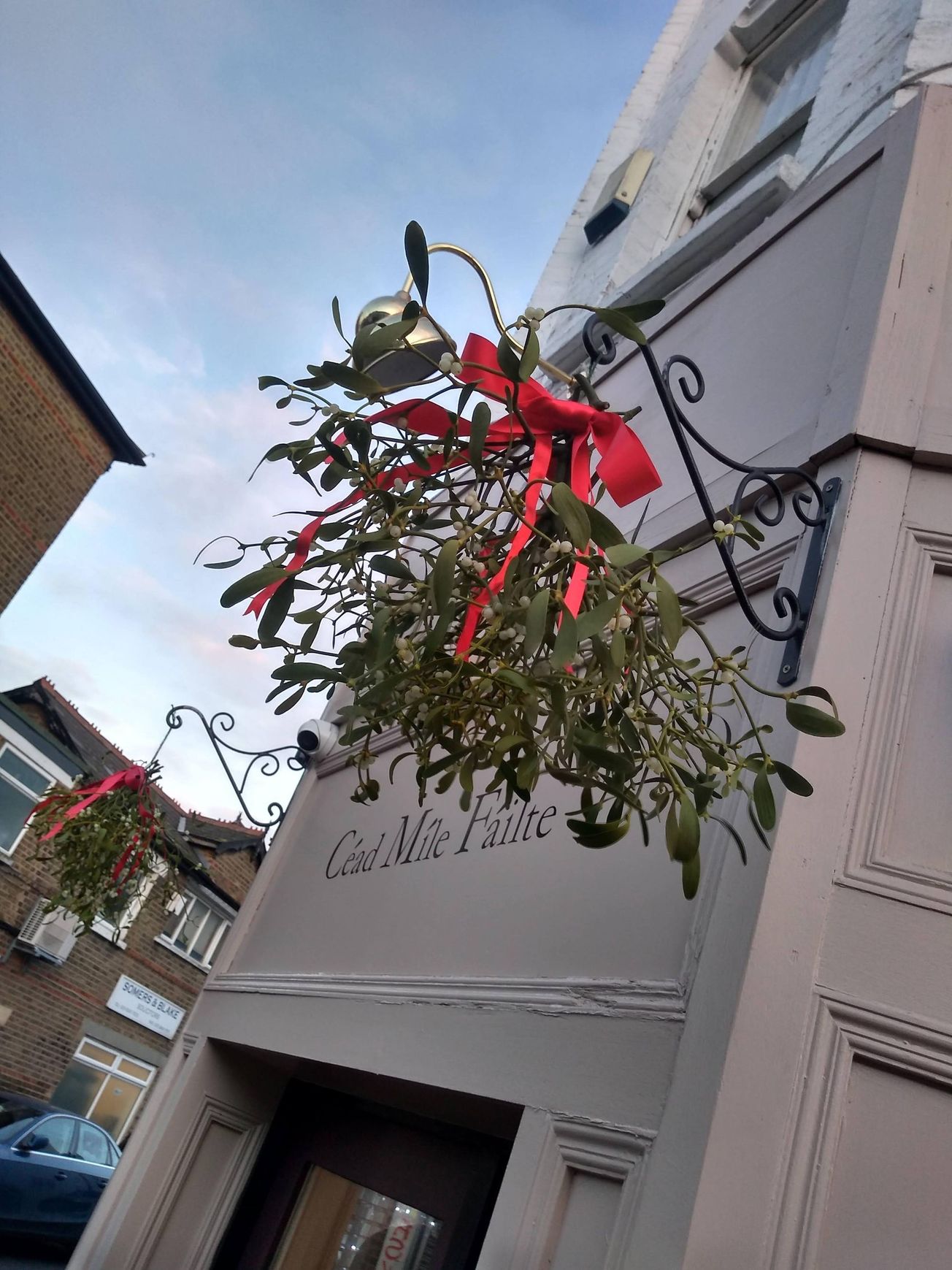 The myths of mistletoe