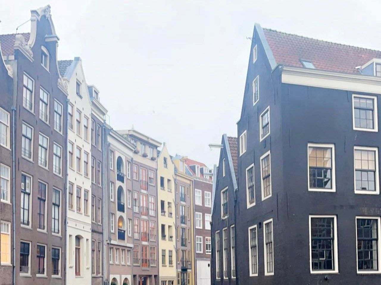 On the Ground: Netherlands