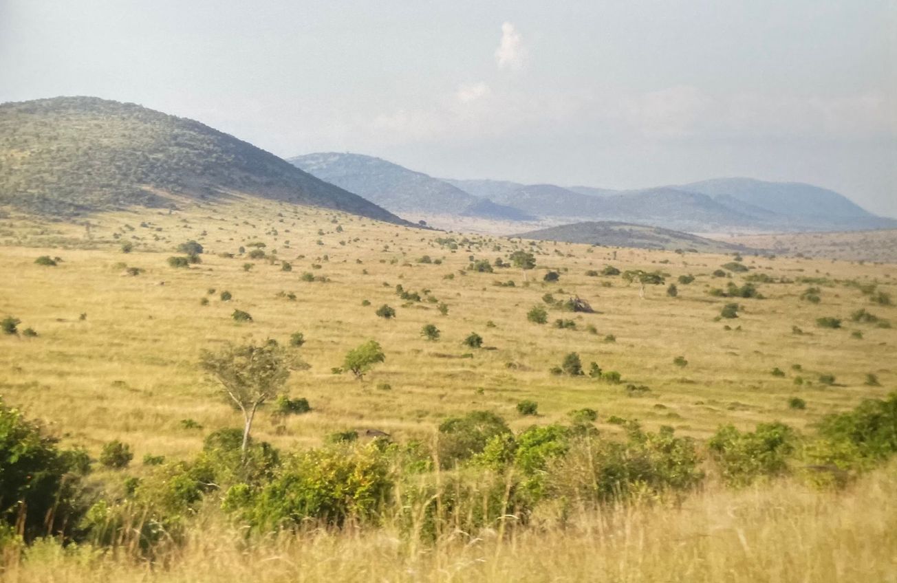 Like Karen Blixen, I long for the plains of Kenya