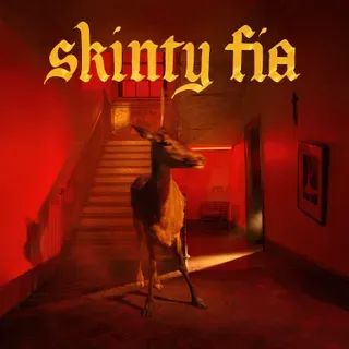 Review: Fontaines D.C. - Skinty Fia