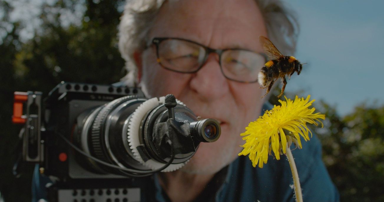 Bristol filmmaker, Martin Dohrn, wins a prestigious Wildlife Film award for his documentary on bees