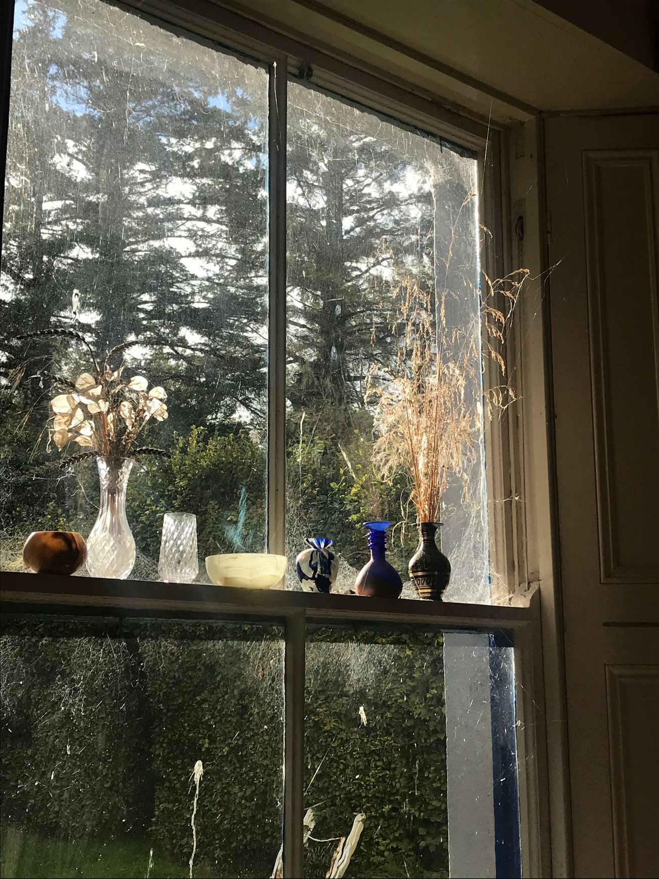 My Mother's House: Remembering a Place in Time