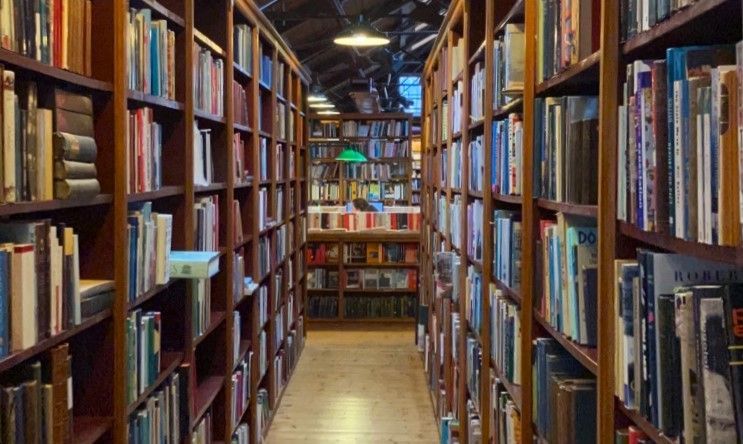 Dealing with disappointment: When the books hailed by social media fall flat