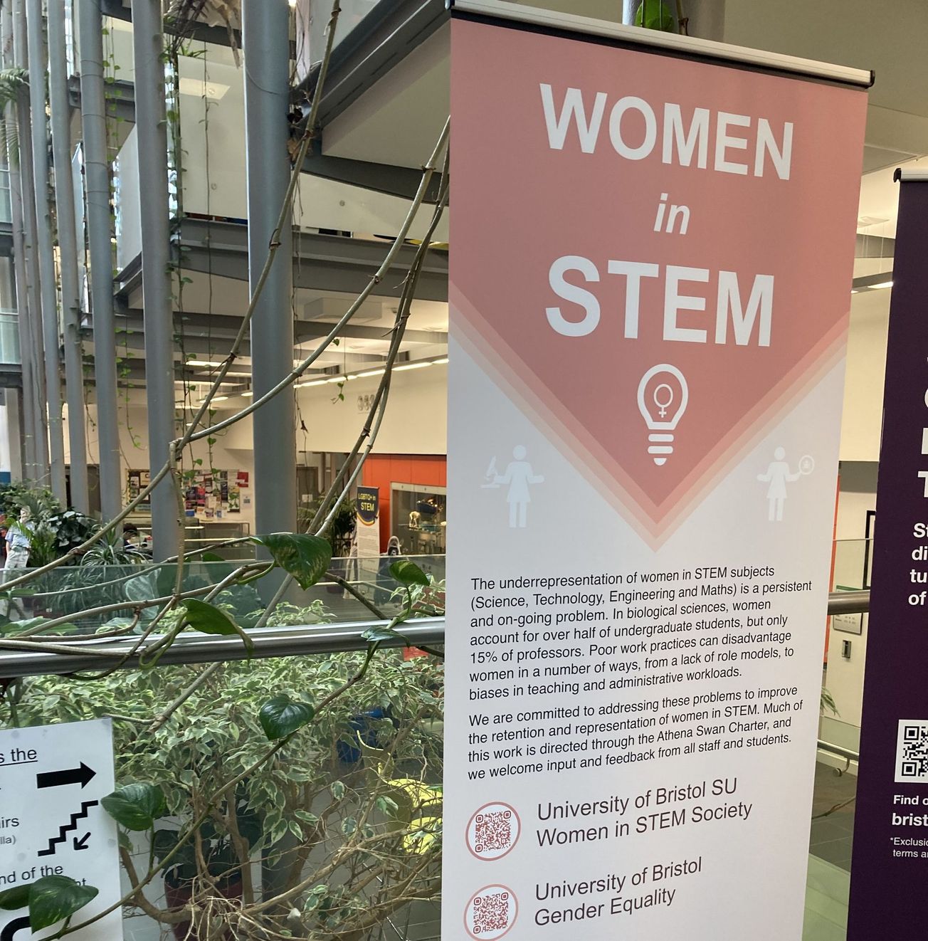International Women's Day: How can we embrace equity in STEM?