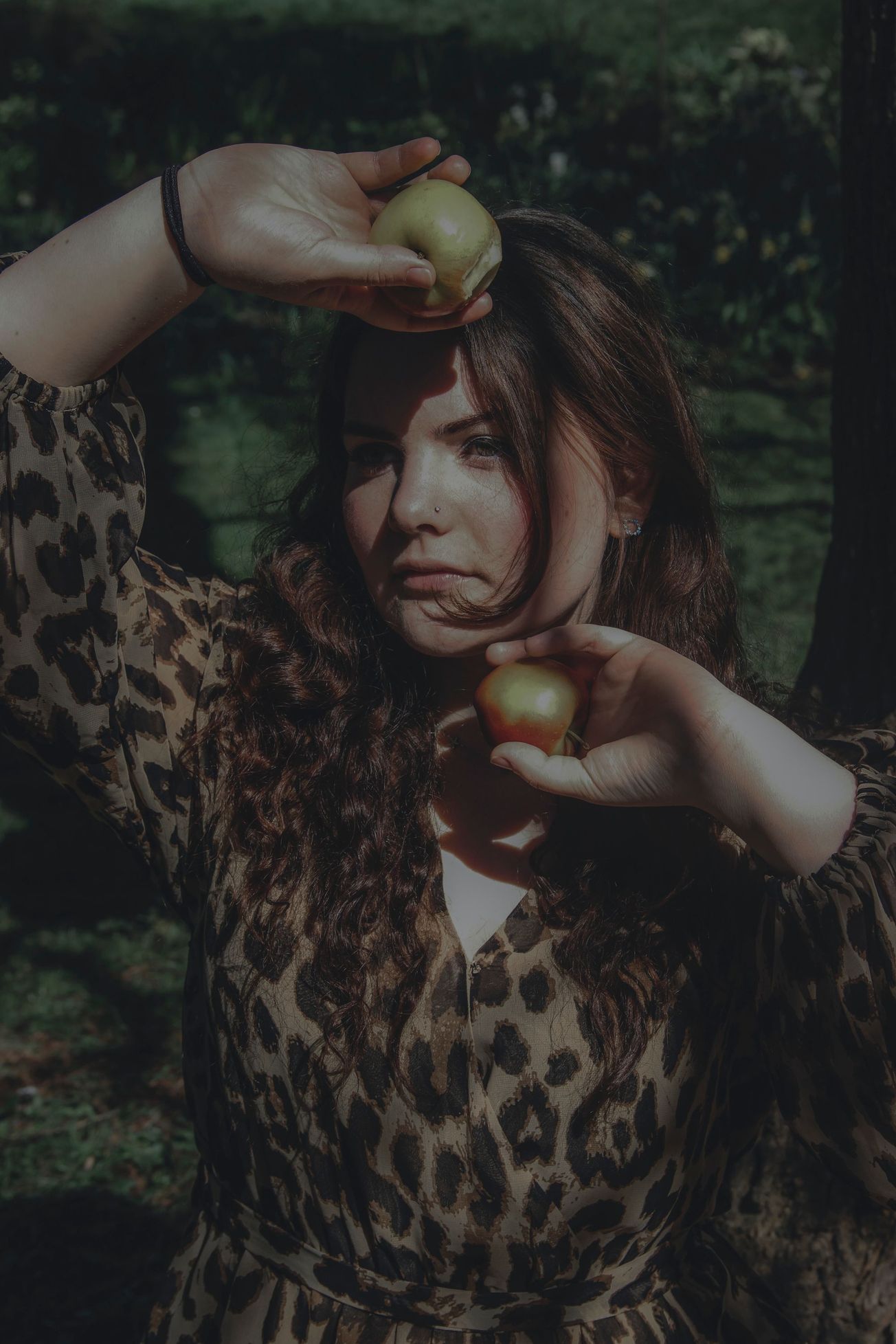 Are We Out Of The Woods? A guide to seasonal foraging in Bristol