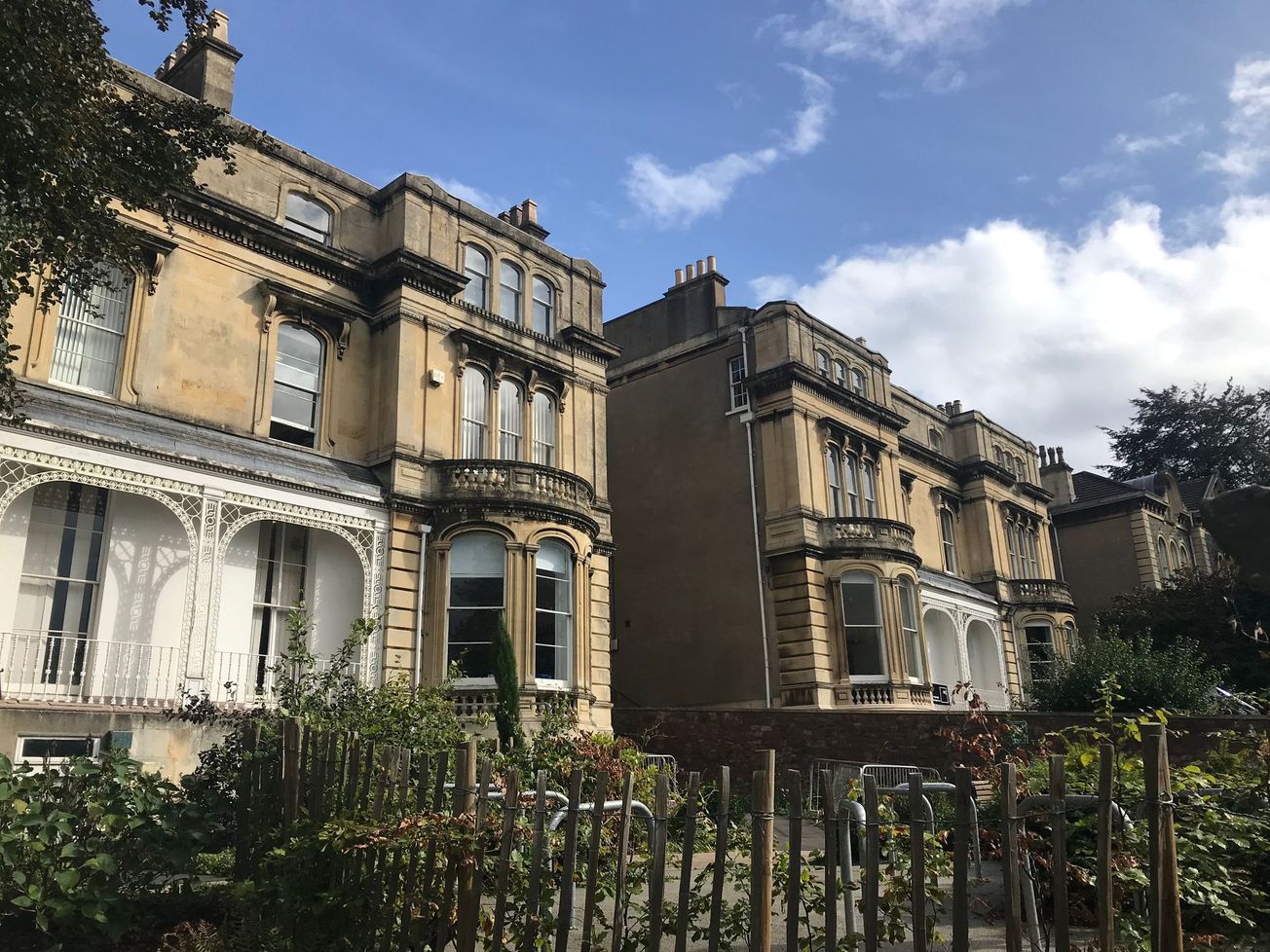 Women in Academia: In Conversation with Goya Wilson Vasquez