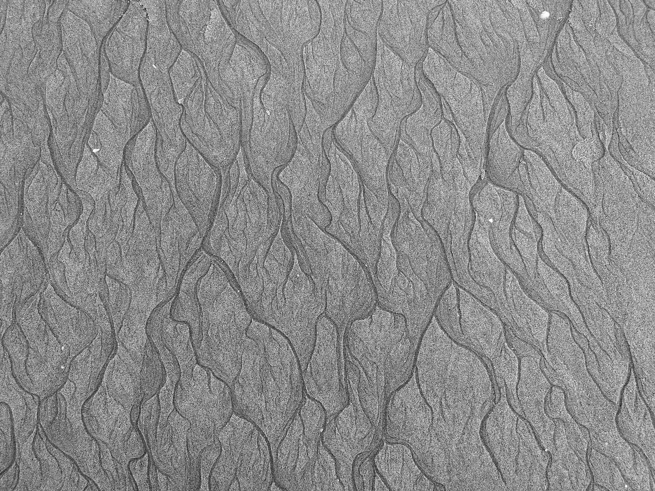 The Art of Finding Yourself at University