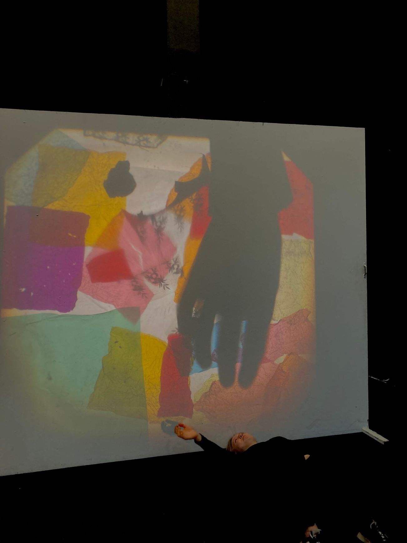 The Secret of the Golden Flower: Integrating with Your Shadow