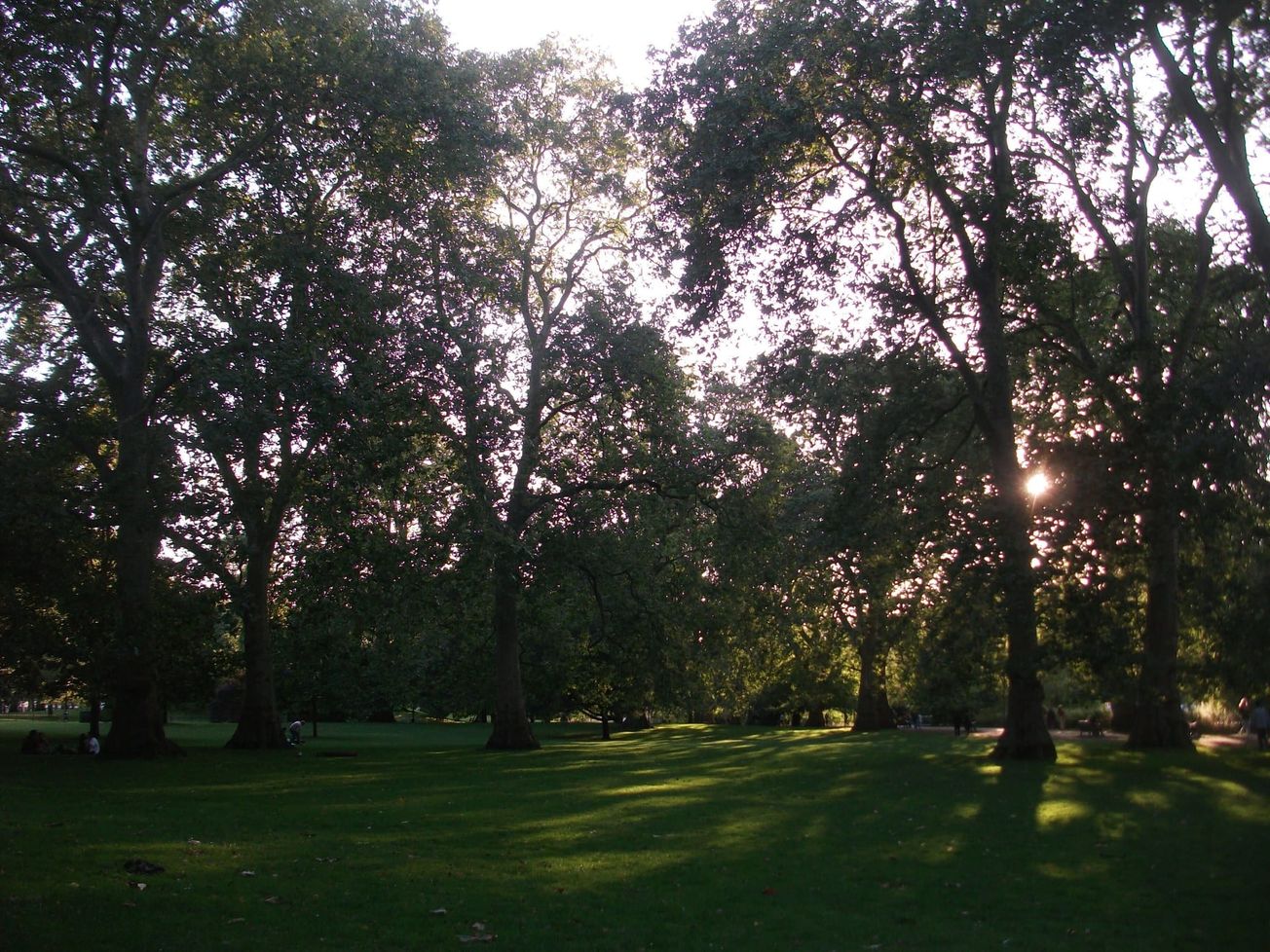 When The Sun Is In Scorpio: Emma Morgan