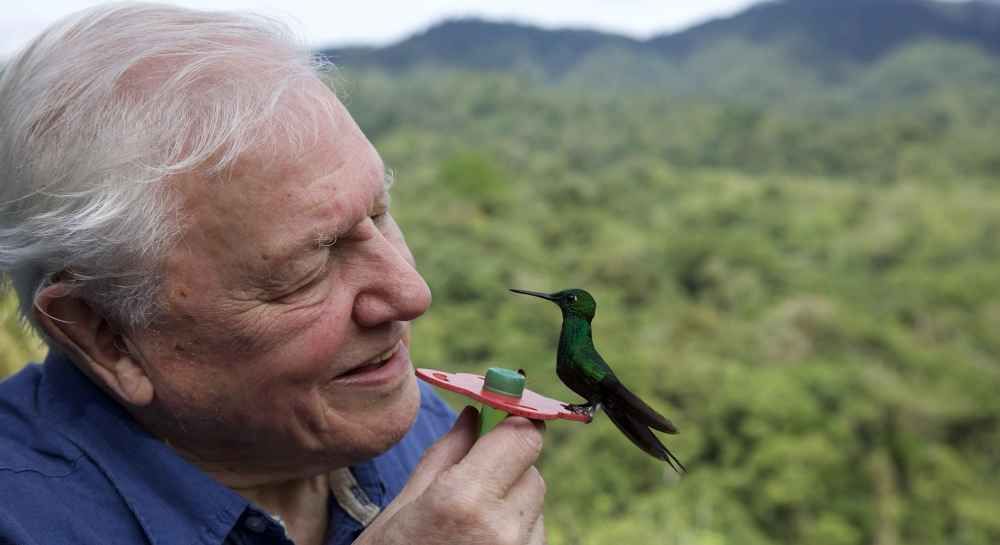 Planet Earth III: An ode to Sir David Attenborough