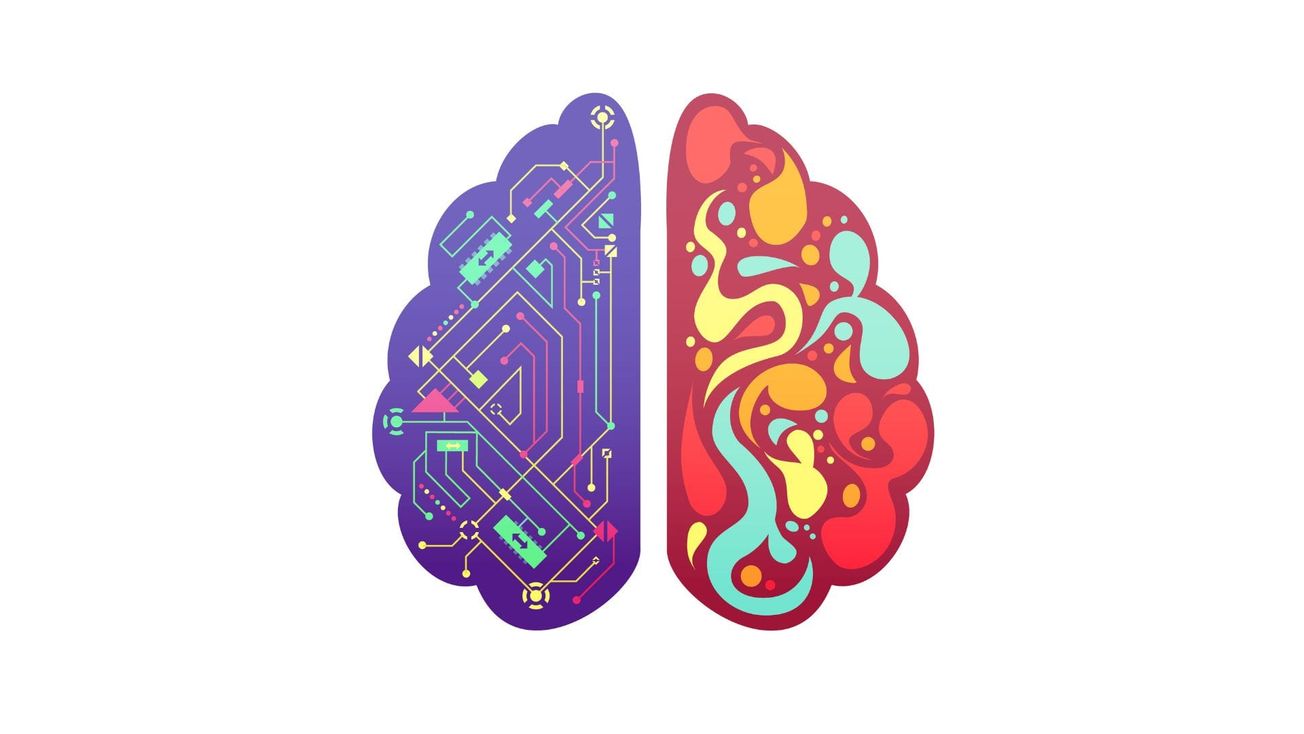 Debunking common neuromyths