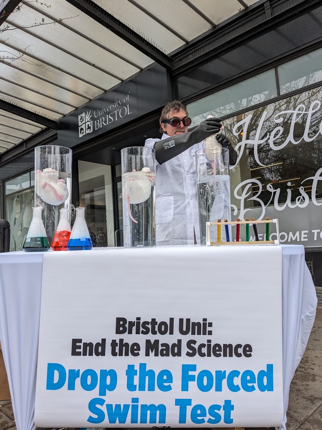 PETA urges university to halt Forced Swim Test and ‘Mad Science’