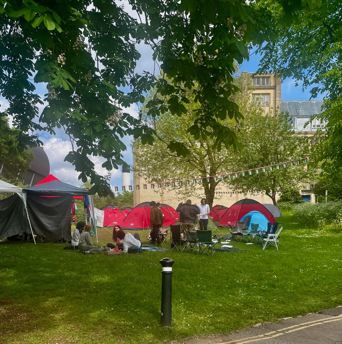 University will not take a 'position or stance' on Israel-Gaza conflict, says VC Evelyn Welch