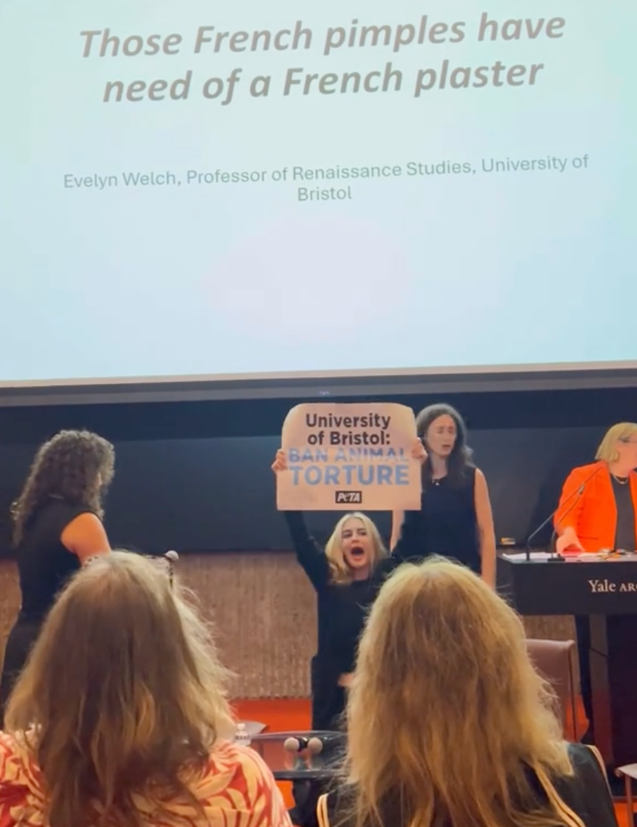 Demonstrators Protest at Bristol’s Forced Swim Tests on Rats