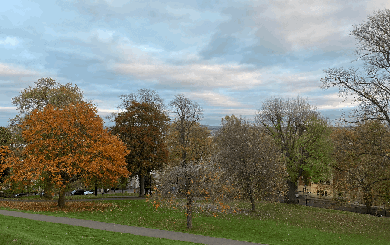 Tackling Seasonal Blues