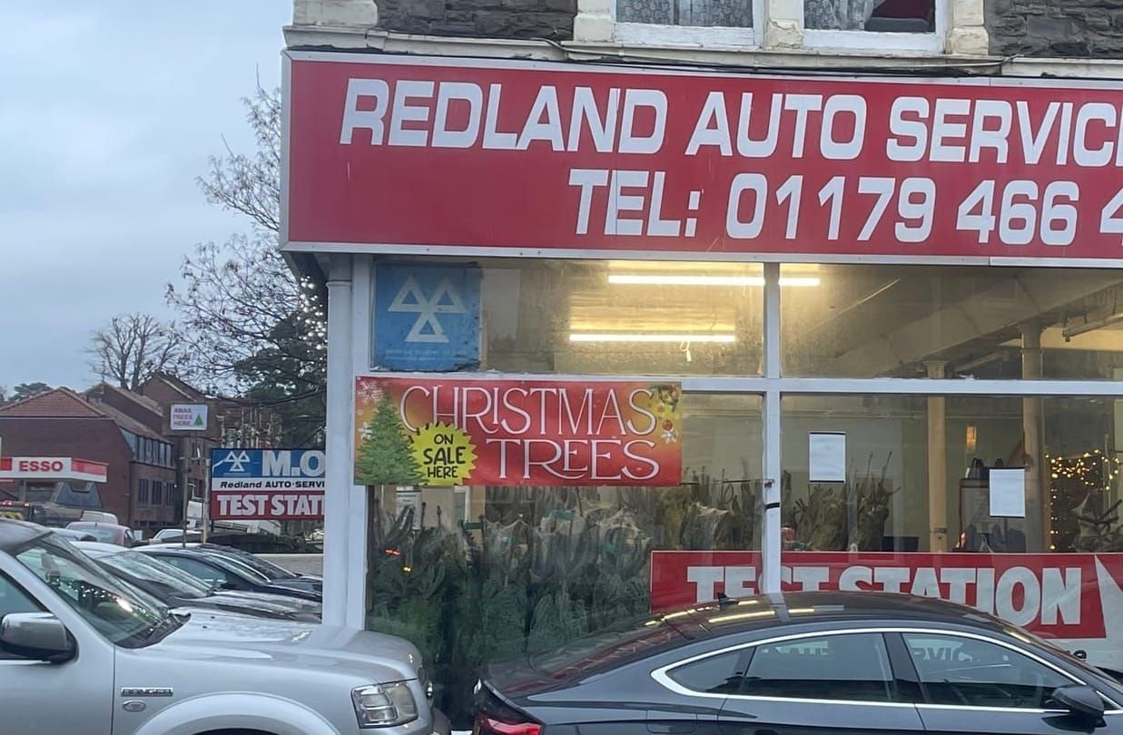 I’m dreaming of a green Christmas