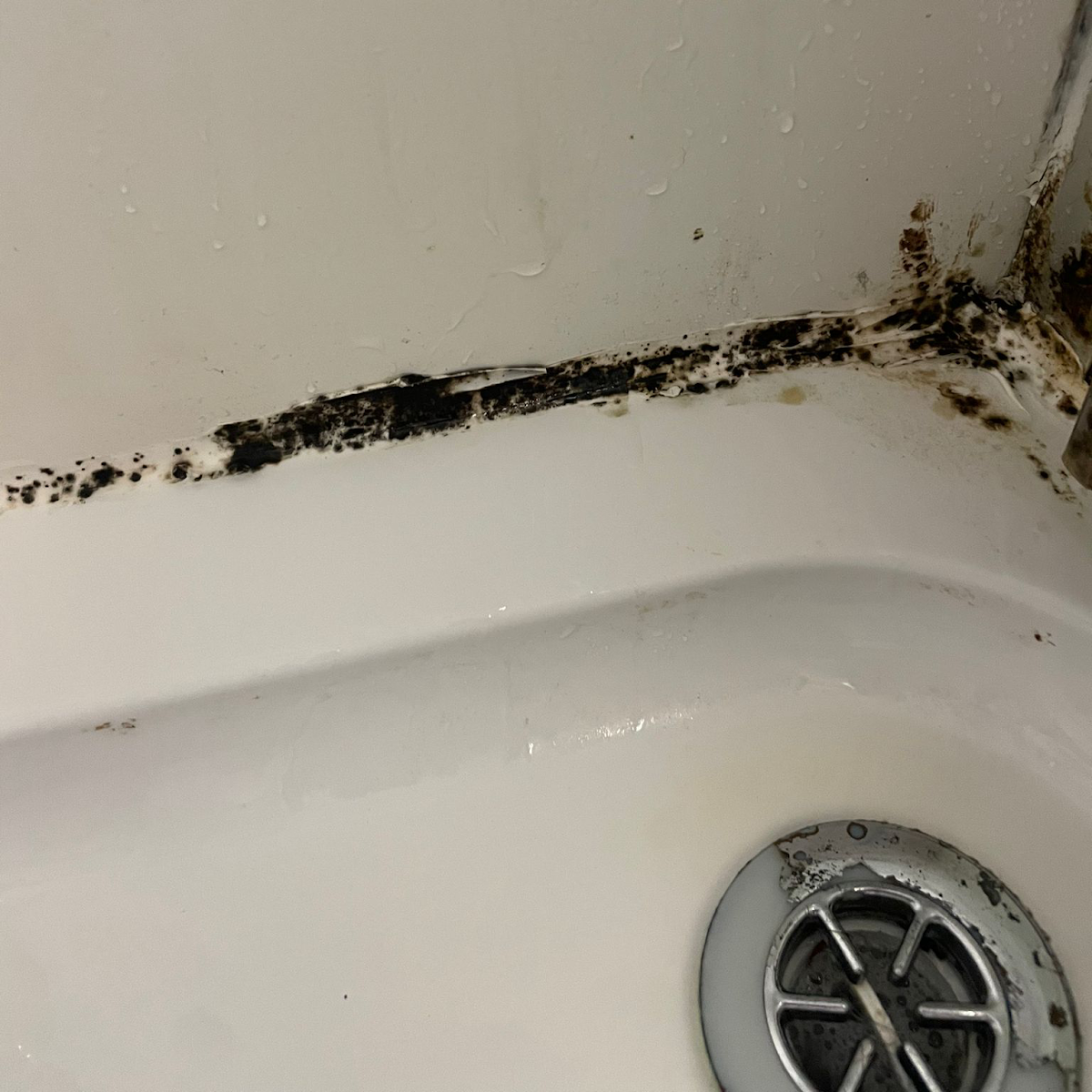 Knowing your renting rights: Five ways to take action against mould when your landlord won’t