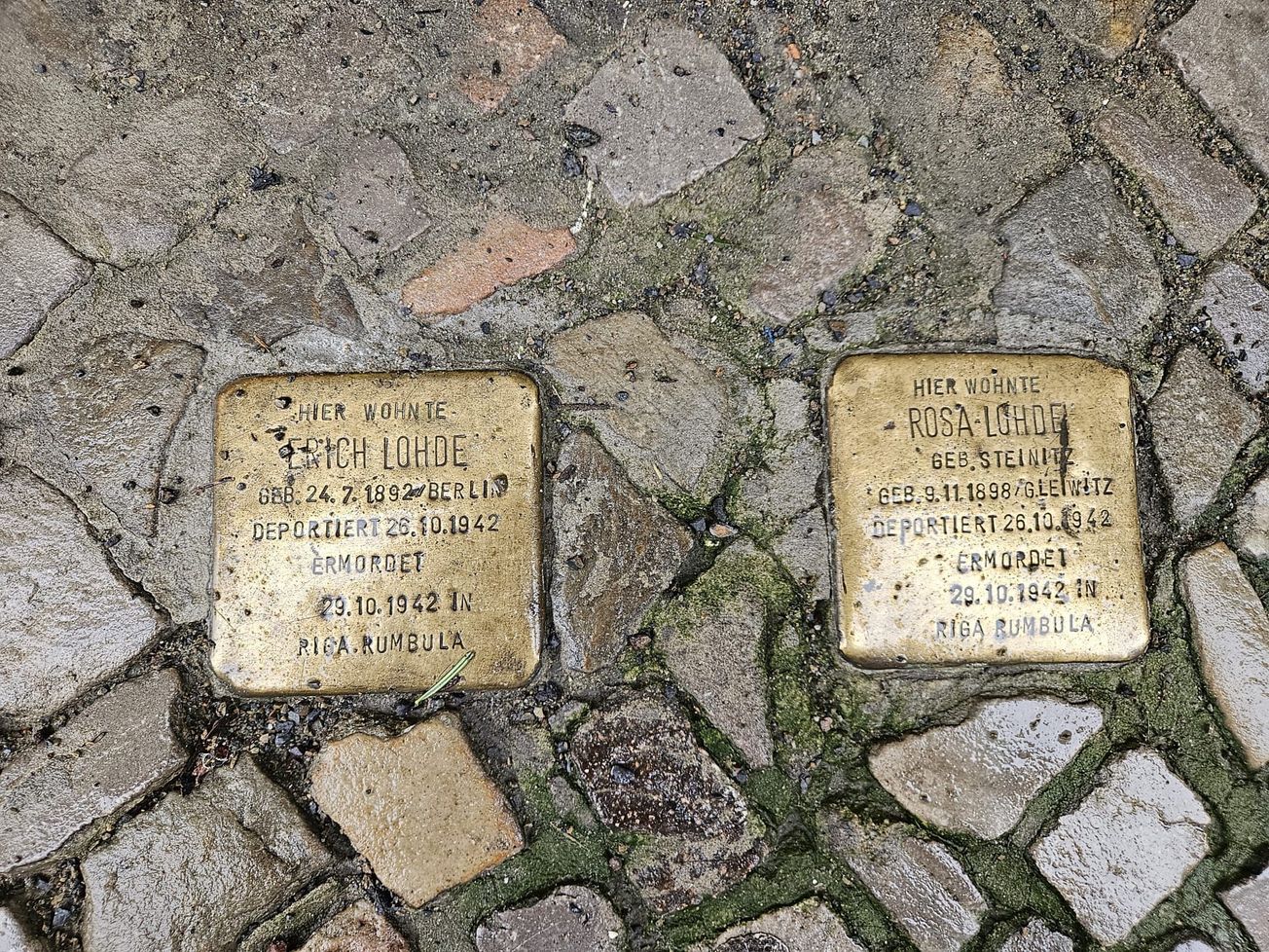 Holocaust Memorial Day: Its importance and how Bristol is honouring it