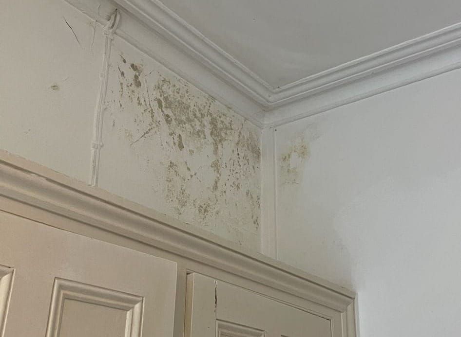 How mould can harm personal health and academic success