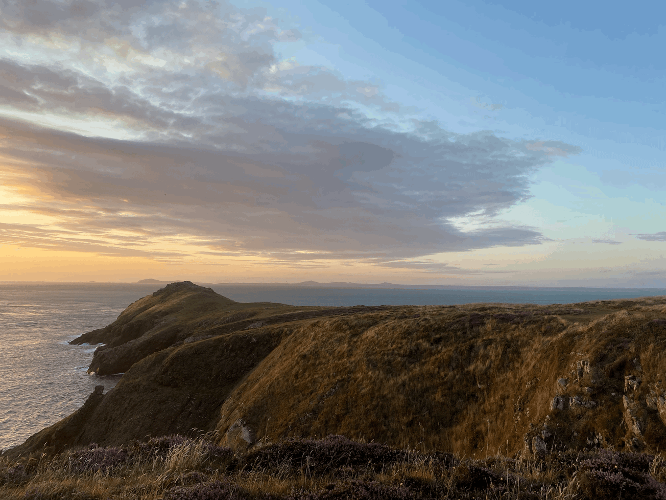 Festive Folklore: Celebrating Unique Welsh Winter Traditions