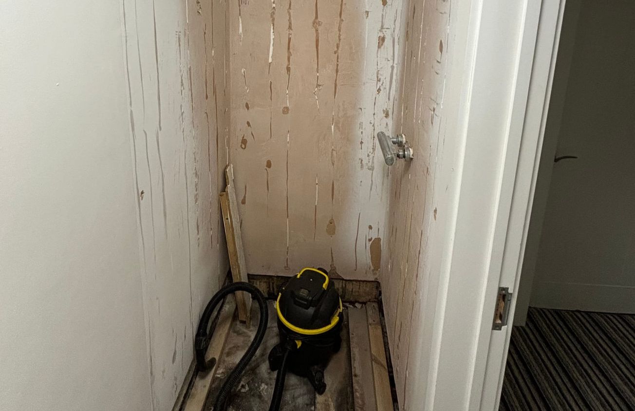 ‘A harvestable mushroom began growing’: Bristol’s mould horror stories