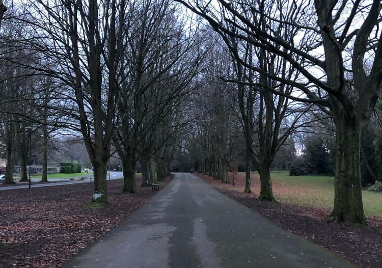 19-year-old killed in south Bristol dog attack