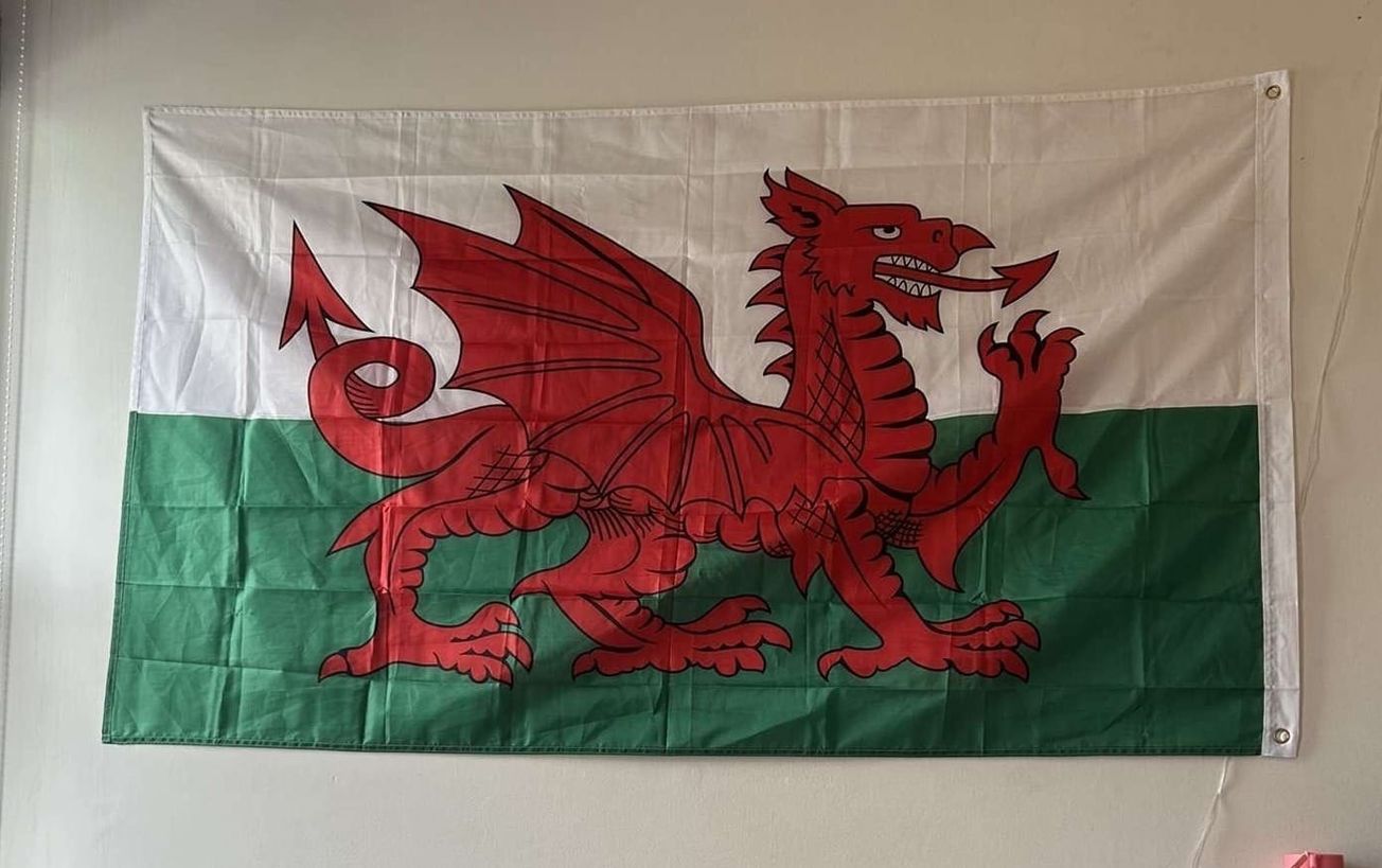 The Welsh student experience at the University of Bristol